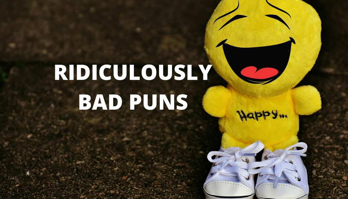 50+ ridiculously bad puns that are just absolutely tearrible - Legit.ng