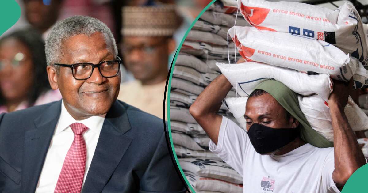 Dangote reveals why he is distributing one million bags of rice to Nigerians