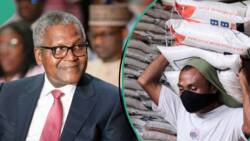 Dangote begins distribution of N5bn rice palliative to Nigerians, Lagos, 1 other state get big share