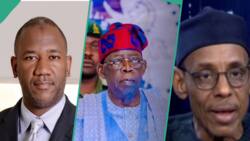 BREAKING: Tinubu appoints Peter Obi's running mate's brother Hakeem Baba-Ahmed as special adviser