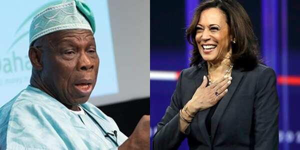 Kamala Harris has Nigerian DNA - Olusegun Obasanjo hails US VP-elect