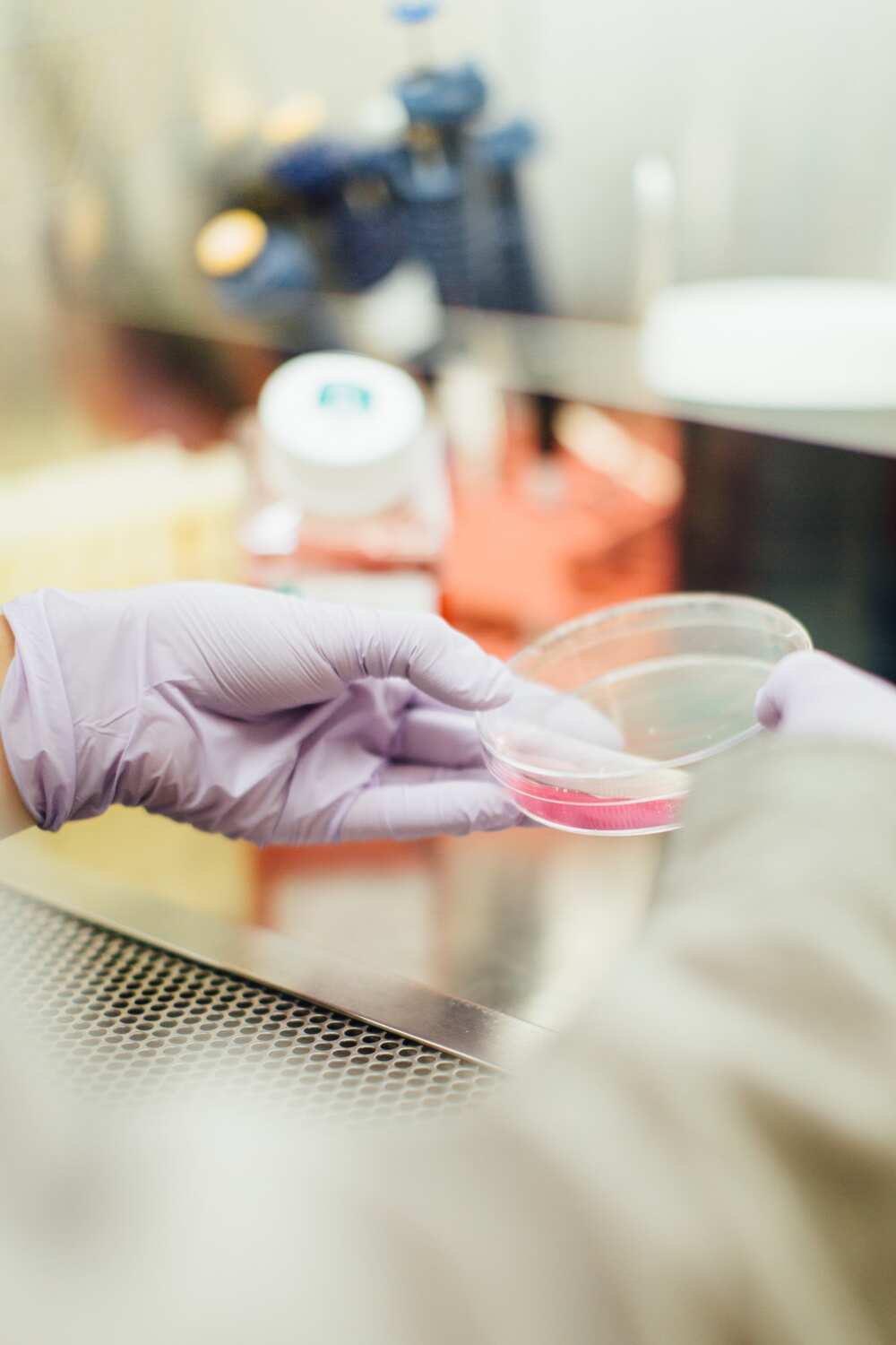 Science Laboratory Technician duties Science Laboratory Technician duties