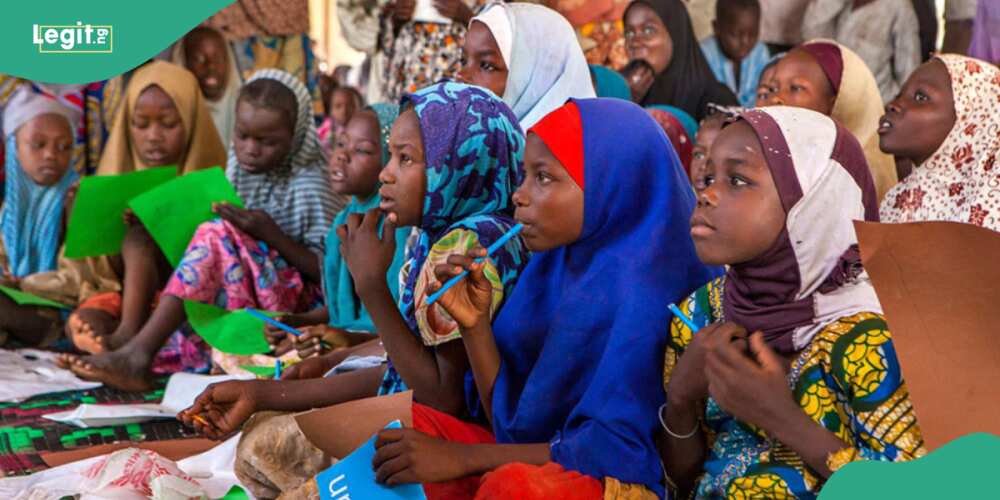 UNICEF's report highlights Nigeria's education system in crisis