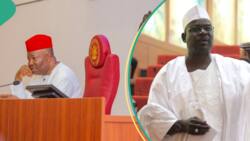 "This is not a chamber": Senator Ndume laments poor state of newly renovated N'Assembly building