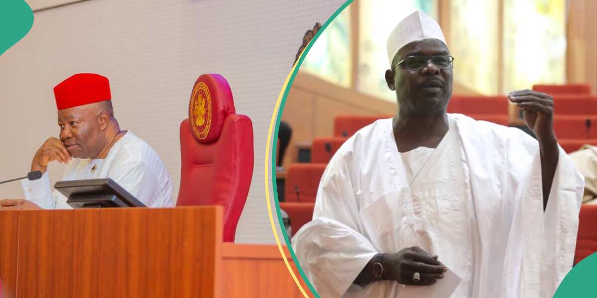 Revealed: Full list of senators who got about N500m from 2024 budget
