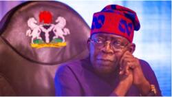 Will Tinubu's "go-fast" approach yield results? Details emerge