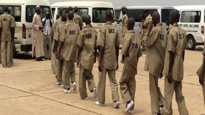 Babu Shiri: Gwamnati Ta Yi Bayani Kan Matsayarta Game Da Cusa Tubabbun ’Yan Boko Haram Cikin Al’umma