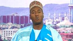 RUGA is nonsense - Miyetti Allah's spokesman fumes, sends message to FG