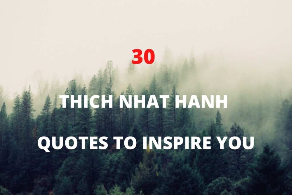 50 Inspiring Thich Nhat Hanh Quotes on Love, Mindfulness, and Peace