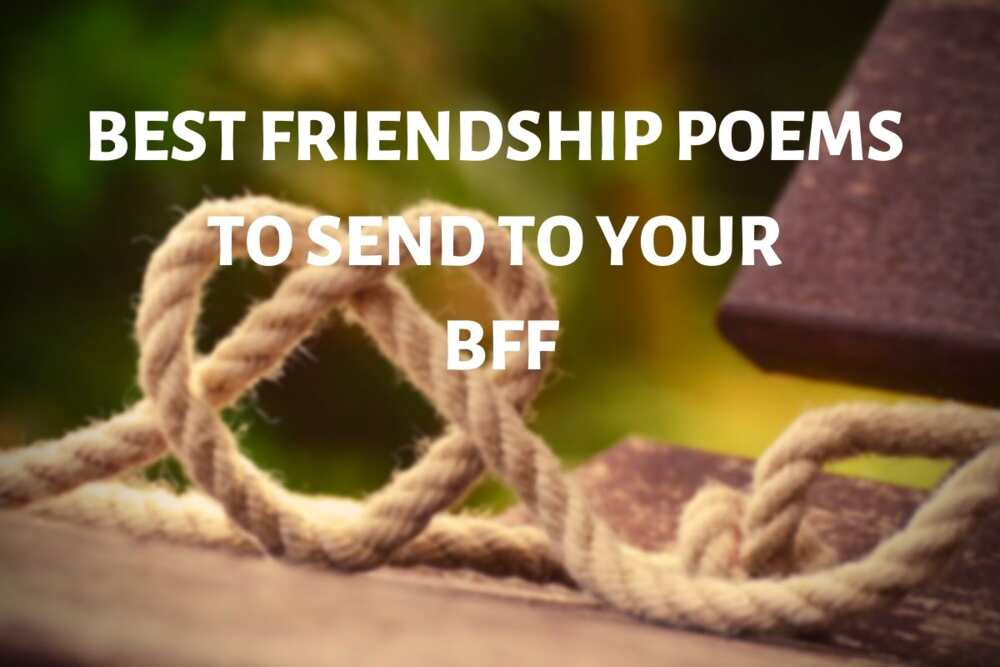 Friendship poems
