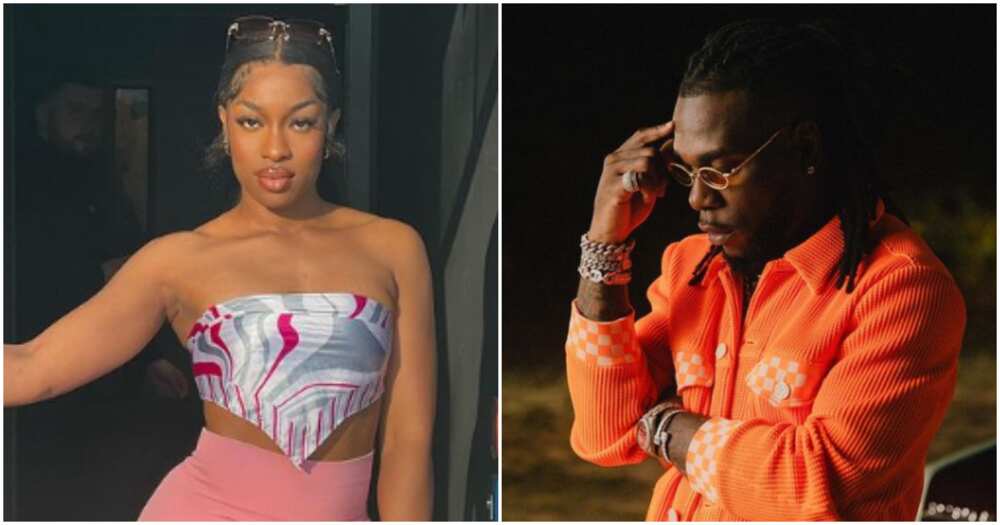 Briella vs Burna Boy shooting incident