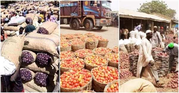 Food dealers make U-turn on blockade of foodstuff to southern Nigeria