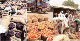 Breaking: Food dealers make U-turn on blockade of foodstuff to southern Nigeria