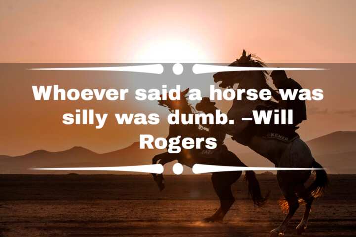 70+ badass cowboy quotes, sayings, captions, and one-liners - Legit.ng