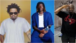 "Come on, that is my CEO": Singer Fireboy picks Olamide ahead of Don Jazzy, Nigerians share mixed reactions