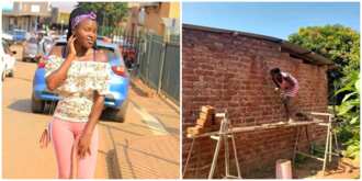 Pretty Lady Builds Her House and Plasters it Herself, Photos Spark Huge Reactions on Social Media