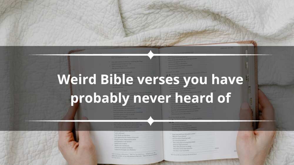 Weird Bible verses