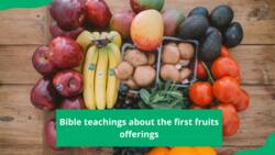First fruits offerings according to the Bible and how to calculate them?