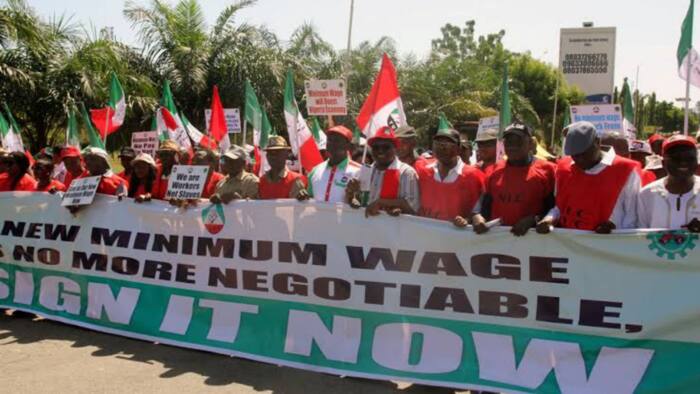 N30,000 minimum wage: Nigerian labour leaders make huge demand from FG