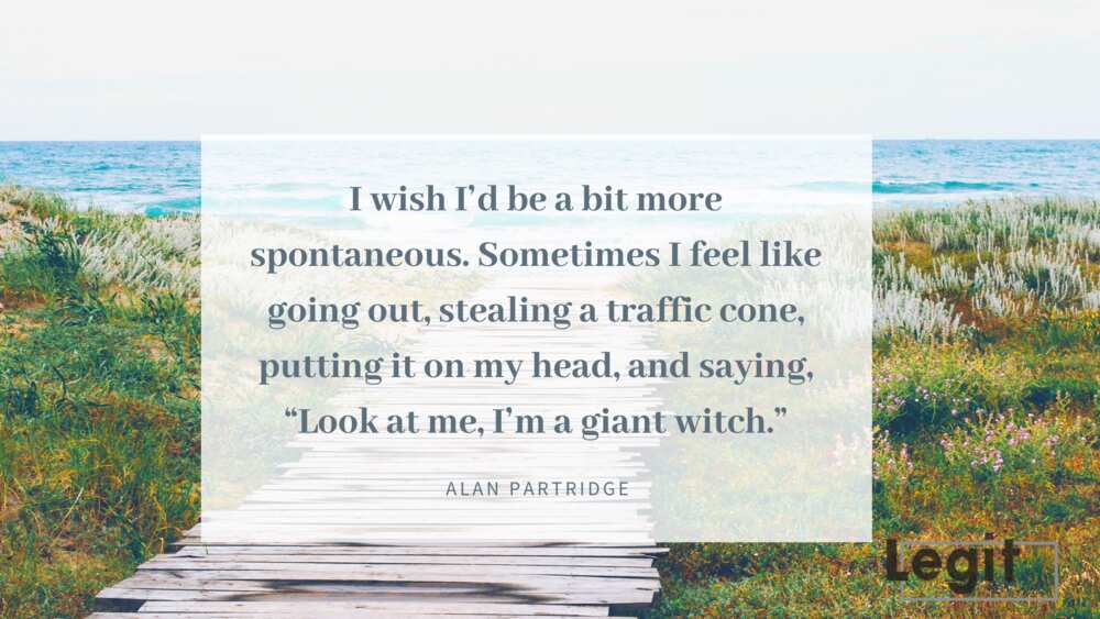 best Alan Partridge quotes