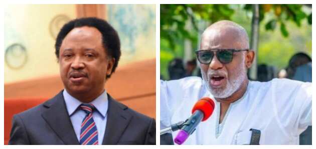 Herdsmen: Shehu Sani sides presidency, sends message to Akeredolu