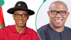 LP crisis: How Abure dismissed Peter Obi’s advice for inclusive convention, Yinusa Tanko speaks