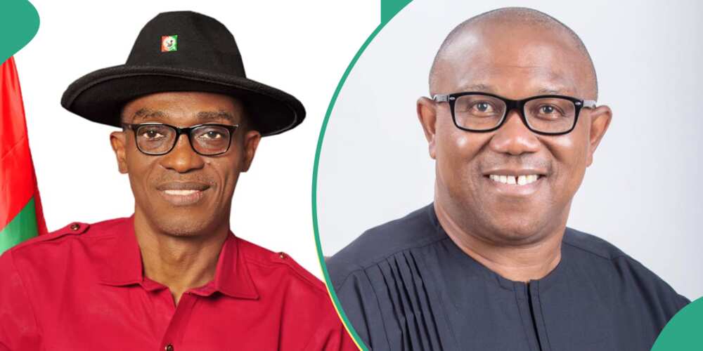 LP chieftain speaks on Abure's re-election, how he dismissed Peter Obi's advice
