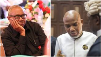 Beryl TV 4705383feb034126 “God Protect Them”: Frederick Leonard Reacts to Photos of Nigerians Abroad Travelling Back to Vote Peter Obi 