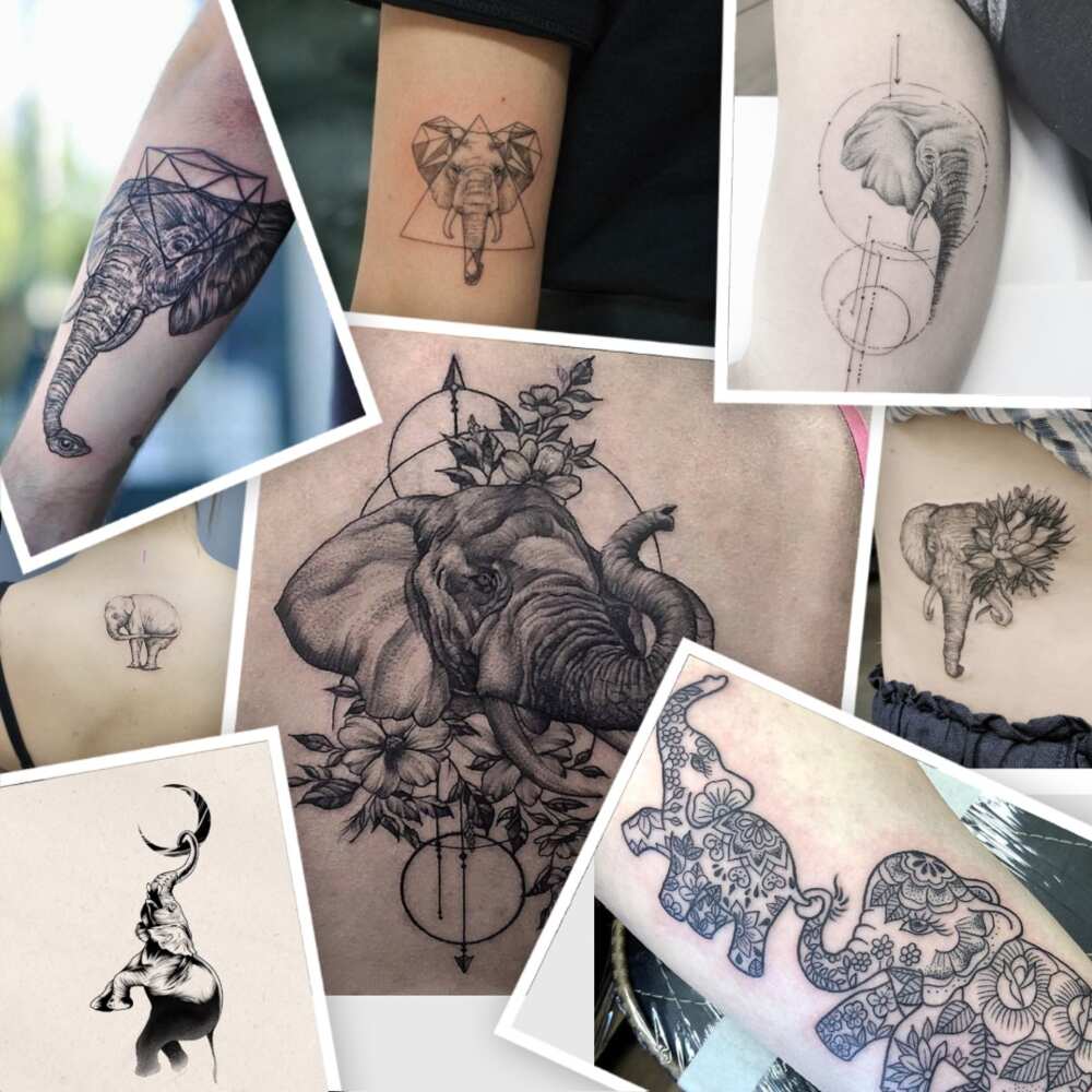 cute 2 elephant tattoos