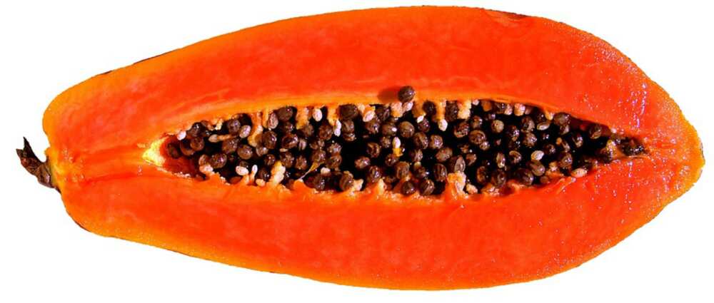 Papaya seed oil