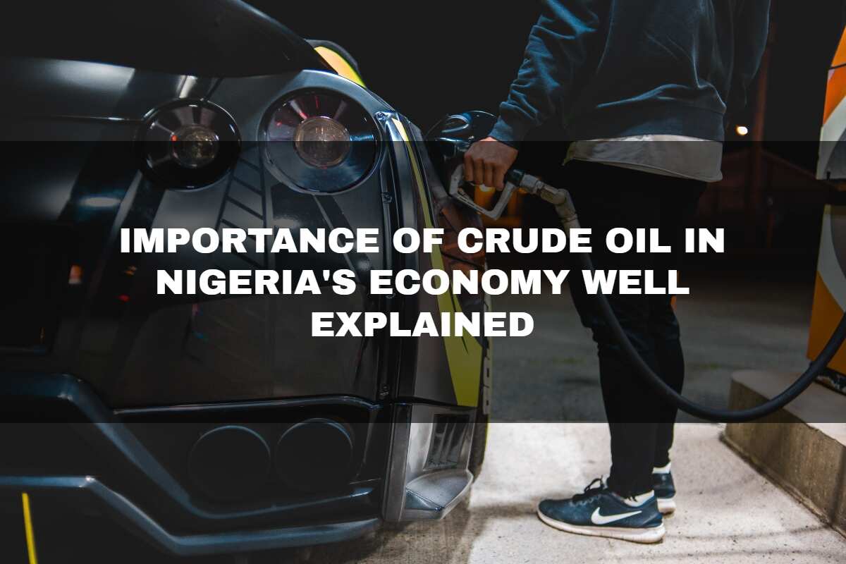 argumentative essay on nigeria oil