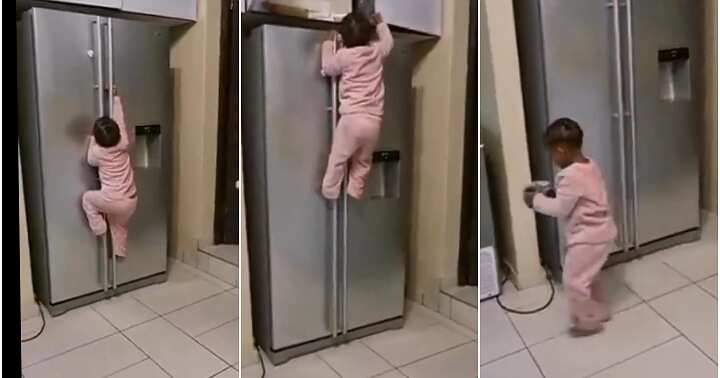 Little girl climbs fridge like superwoman