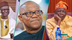 “Religious war is over”: El-Rufai’s son mocks Peter Obi after Supreme Court upholds Tinubu’s election