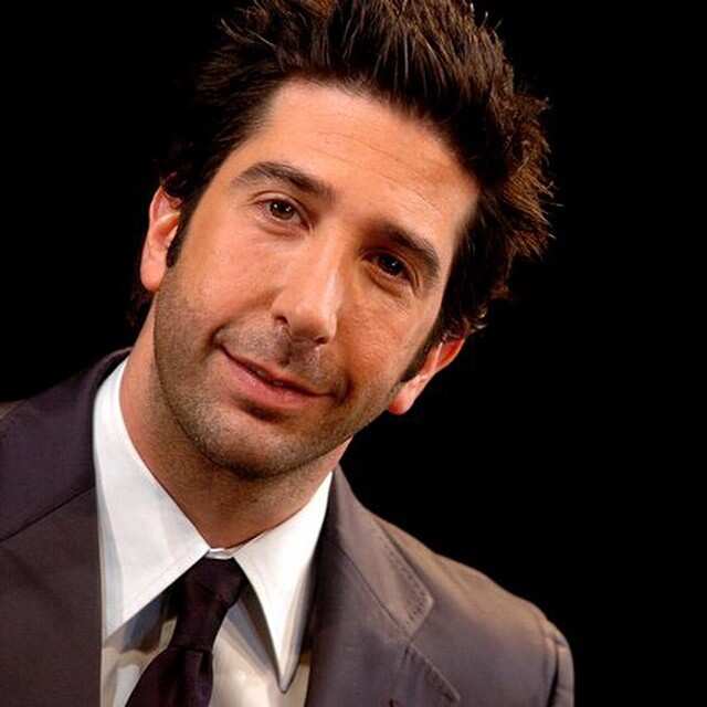 David Schwimmer Ethnicity : David Schwimmer bio: age, wife, kids ...