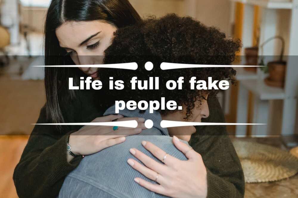 fake family quotes