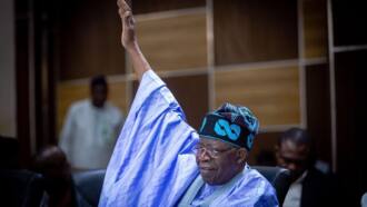 Tinubu's associate reveals another party APC chieftain plans to join, gives condition