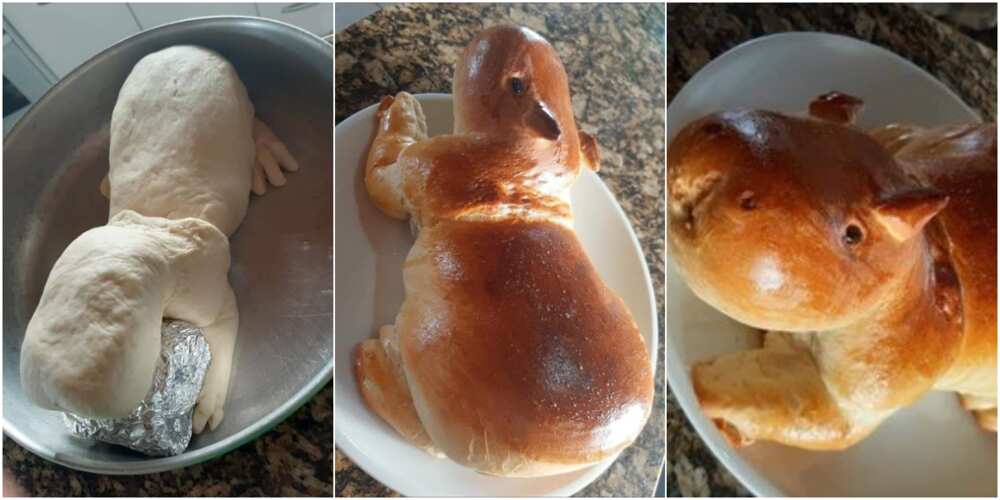 Photos of bread baked form of animal light up social media