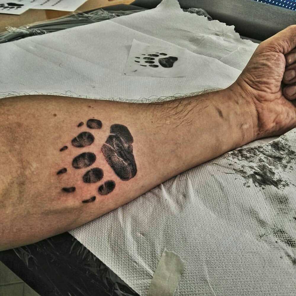 bear paw tattoo