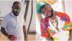 Only you carry 2 babymamas go vacation: Fans react as Davido laments over money he spent during Detty December