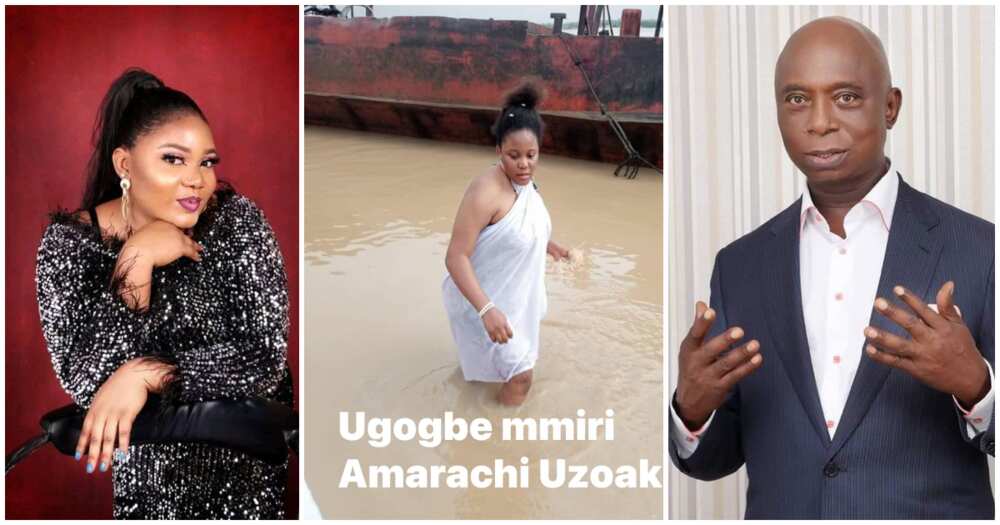 Precious Gift Amarachi, Ned Nwoko, Ned Nwoko latest news, Ned Nwoko's new wife