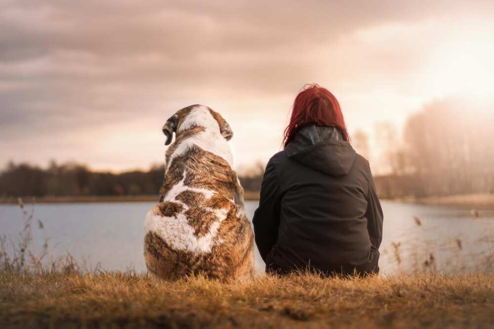 Comment vous entourer d'ondes positives ? 7 idées pour un cycle vertueux