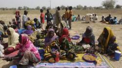 Breaking: Tension hit Borno as fire guts internally displaced persons' camp