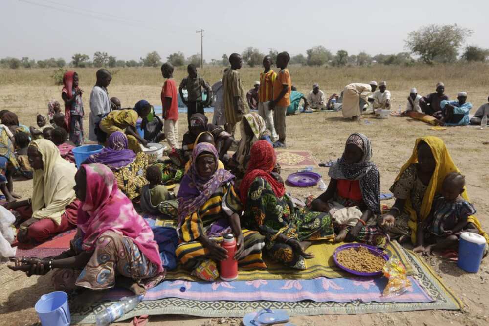 Boko Haram insurgents kill 5 IDPs in Borno, others missing