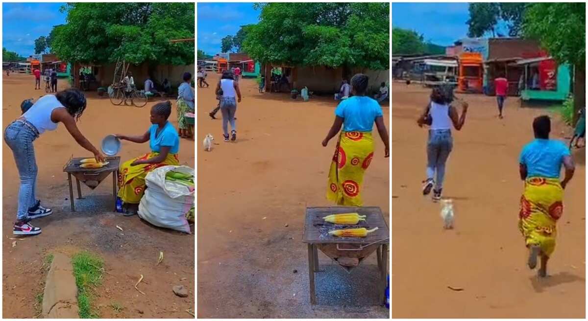 Video: See what this woman who sells corn did to a lady and her dog, its so shocking