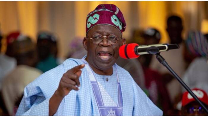 2023 presidency: Why there'll be no contest between me and PDP's candidate - Tinubu