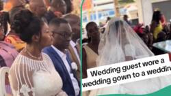 "She should be escorted out": Video shows lady in wedding dress at another woman's wedding