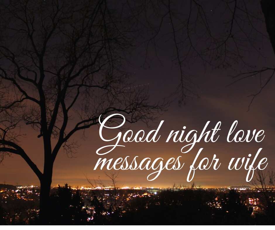 The best good night love messages to send to your lovely wife. 