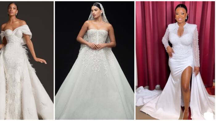 Wedding trends: Sheer, tiered ruffles and 5 more dresses perfect for fashionista brides of 2023