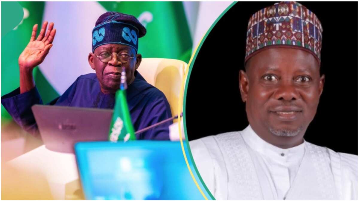 "He Presented Empty Budget Box": House Of Reps Member Accuses Tinubu Of ...