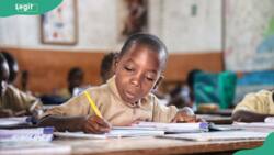 Problems facing early childhood education in Nigeria and potential solutions